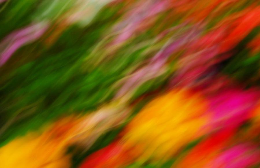 Multi Floral Abstract Photograph by Diana Angstadt