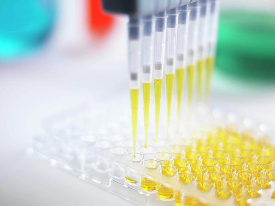 Multipipette Filling A Multiwell Tray Photograph by Andrew Brookes