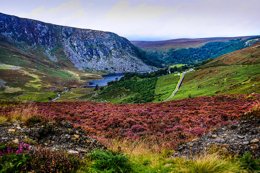 Multicolored Carpet of Wicklow Hills. Ireland Photograph by Jenny Rainbow