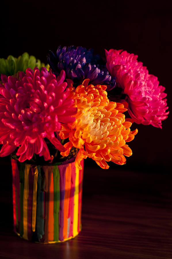 Multicolored Chrysanthemums in paint can on chest of drawers int Photograph by Jim Corwin