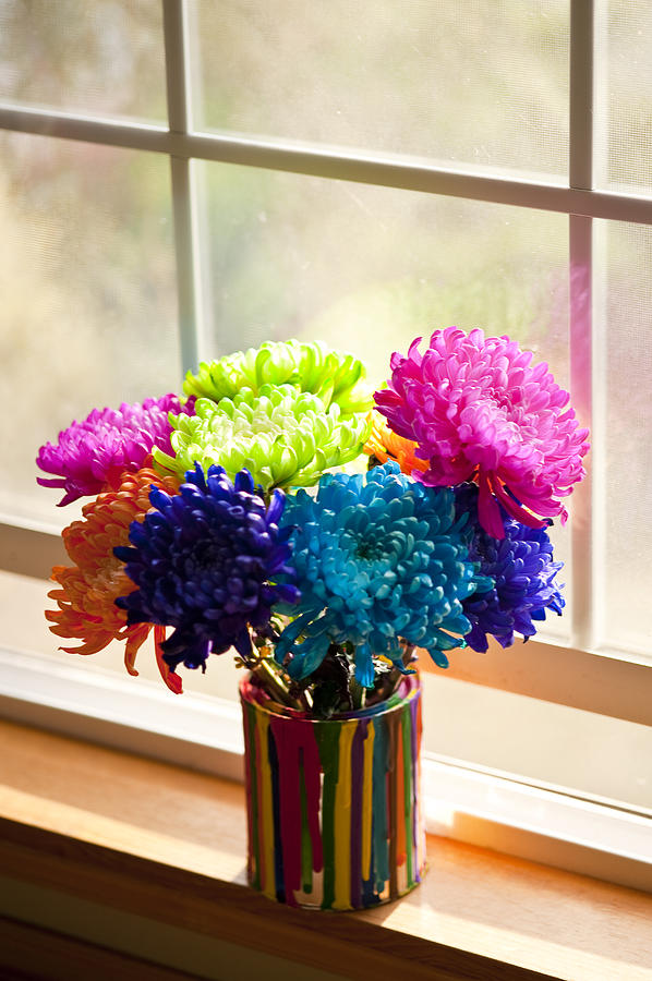 Multicolored Chrysanthemums in paint can on window sill Photograph by Jim Corwin