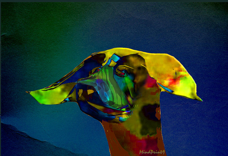 Multicolored Dog Digital Art by Asok Mukhopadhyay