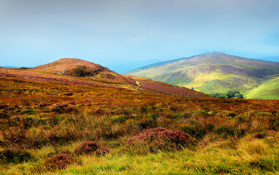 Multicolored Hills of Wicklow I. Ireland Photograph by Jenny Rainbow
