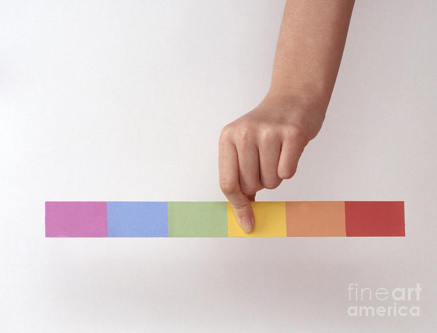 Multicolored Paper Strip Photograph by Clive Streeter / Dorling Kindersley