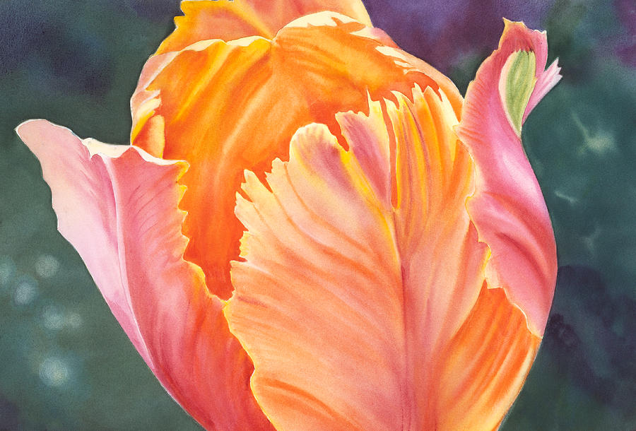 Tulip Painting - Multicolored Tulip - transparent watercolor by Elena Polozova