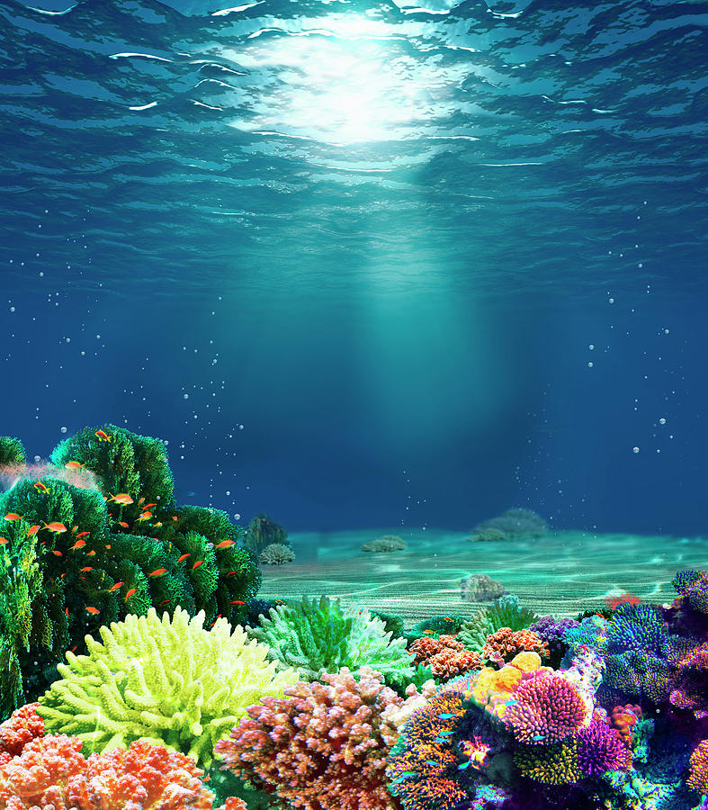 Underwater Coral Art