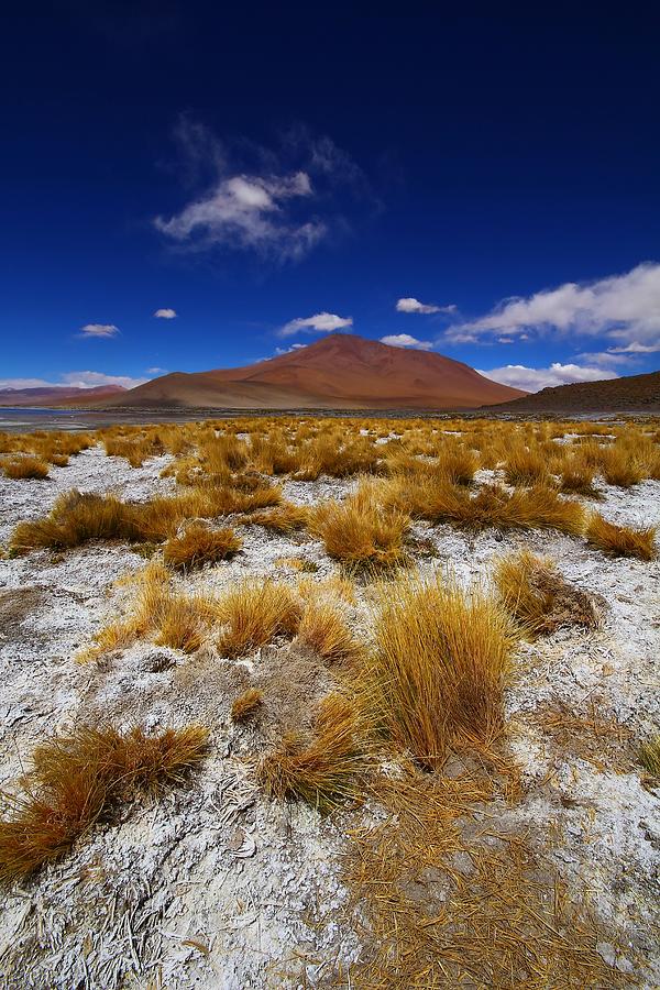 Mountain Photograph - Multicoloured Desert by FireFlux Studios