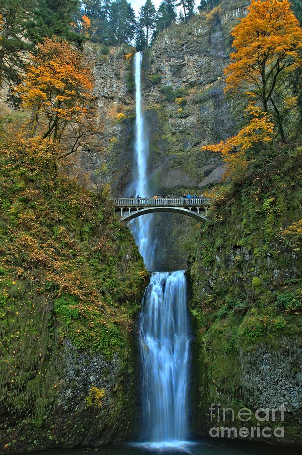 Multnomah Double Plunge Photograph by Adam Jewell