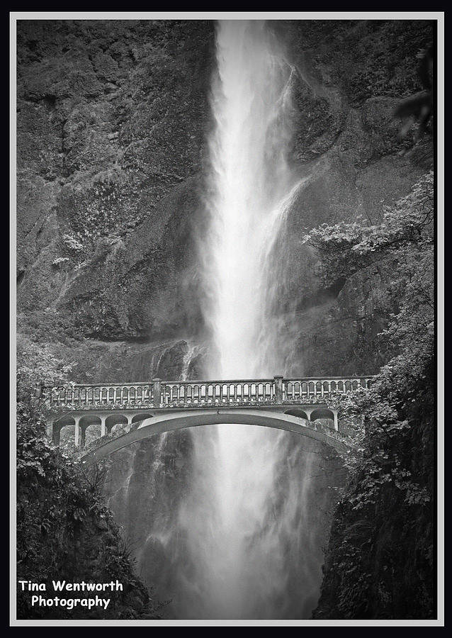Black And White Photograph - Multnomah Fall by Tina W