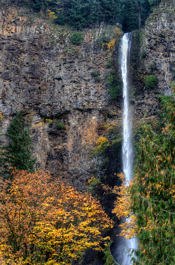 Multnomah Falls 2 Photograph by David Hart