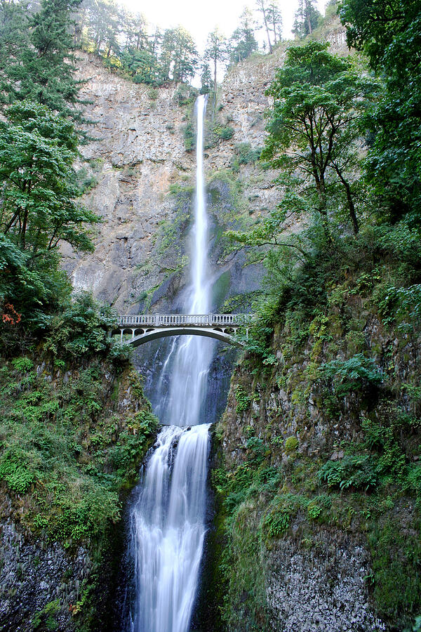 Multnomah Falls Photograph by Ben Zell - Fine Art America