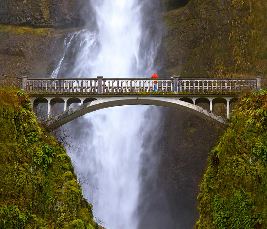 Multnomah Falls Bridge in Oregon Photograph by Ginger Wakem