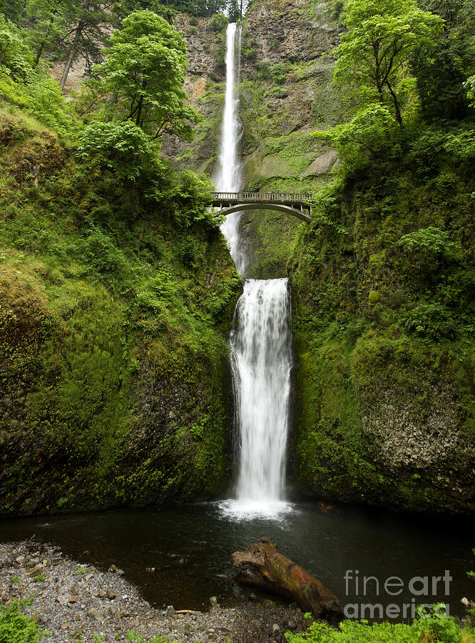 Multnomah Falls Photograph by Carrie Cranwill