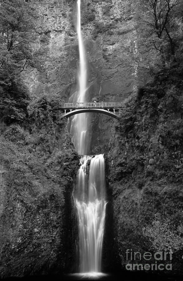 Multnomah Falls  Photograph by Chris Scroggins