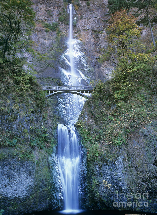 Multnomah Falls Columbia River Gorge Photograph by Dave Welling