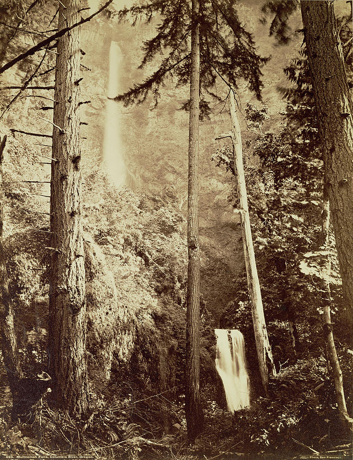 Multnomah Drawing - Multnomah Falls, Columbia River, Oregon  Multnomah Falls by Litz Collection