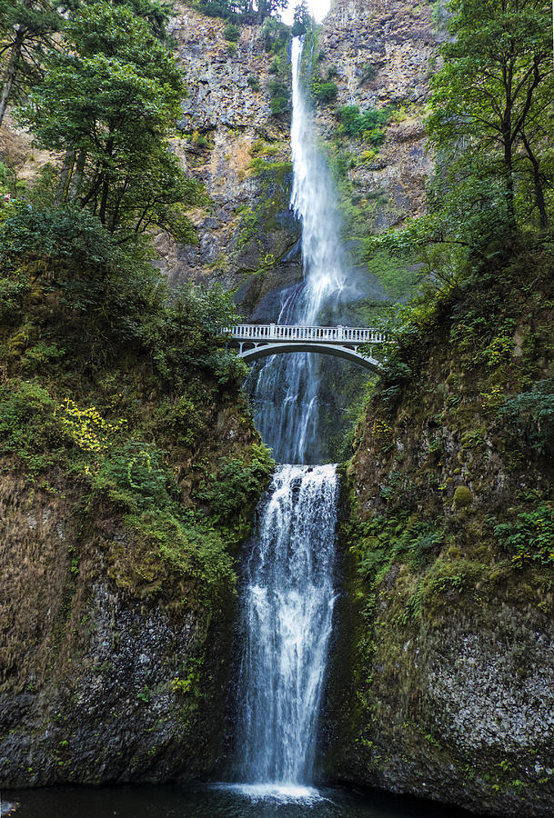 Multnomah Falls Photograph by Dean Ginther