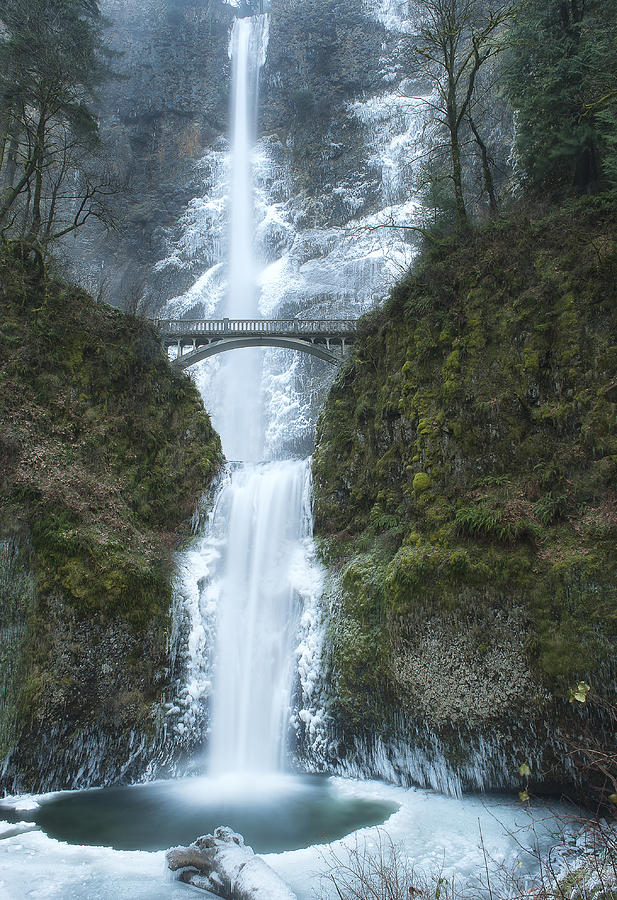 Multnomah Falls Frozen Photograph by Mitch Carlson