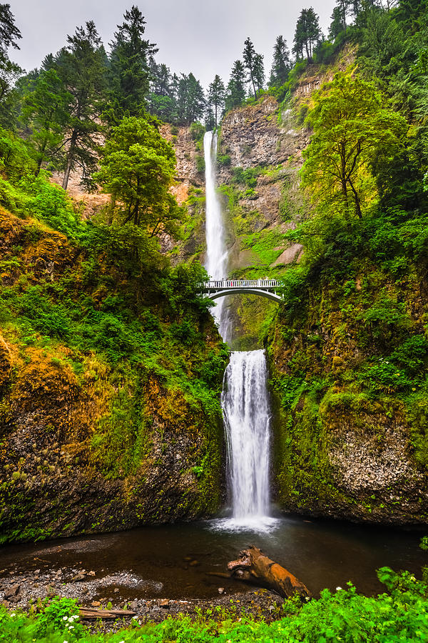Multnomah Falls in all their Splendor - Columbia River Gorge Oregon Photograph by Silvio Ligutti
