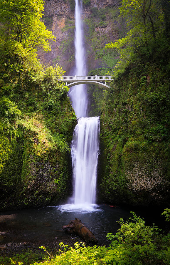 Multnomah Falls In Oregon Photograph by Athena Mckinzie
