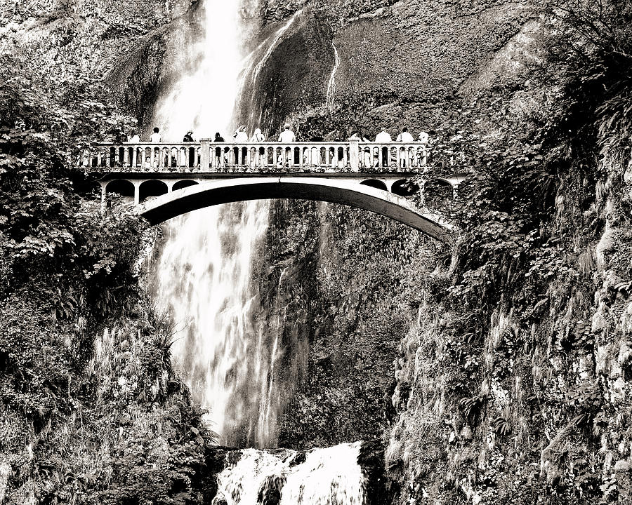 Multnomah Falls in Sepia Photograph by Betty Eich