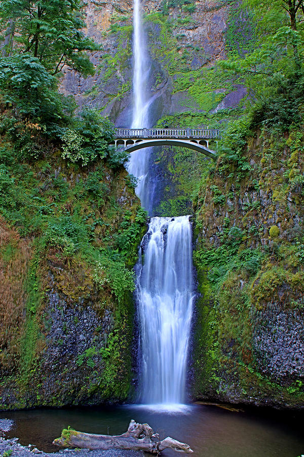 Multnomah Falls Photograph by John Absher - Fine Art America