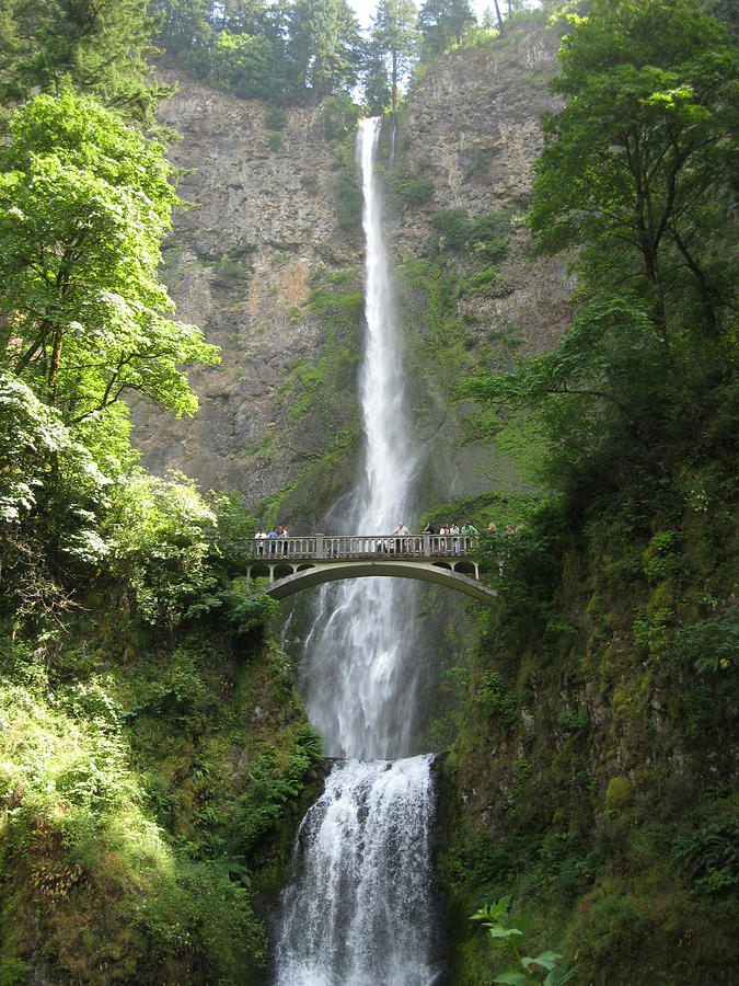 Multnomah Falls Photograph by Judi Scharns - Fine Art America