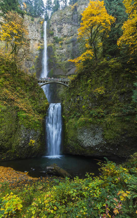 Multnomah Falls Photograph by Kelly Headrick - Fine Art America