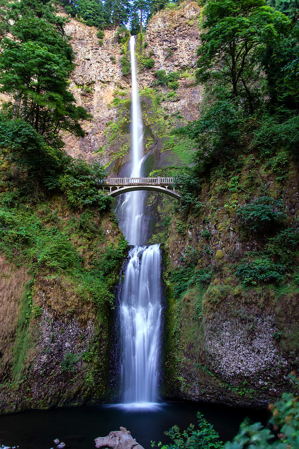 Multnomah Falls Photograph by Mike Ronnebeck
