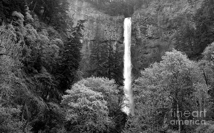 Multnomah Falls - Monochrome Photograph by Charles Robinson