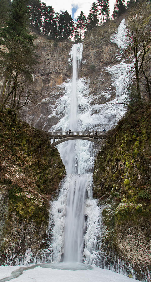 Multnomah Falls on Ice Photograph by Angie Vogel