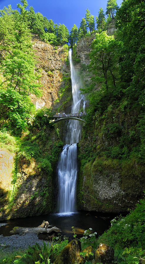 Multnomah Falls Photograph by Rendell B - Fine Art America