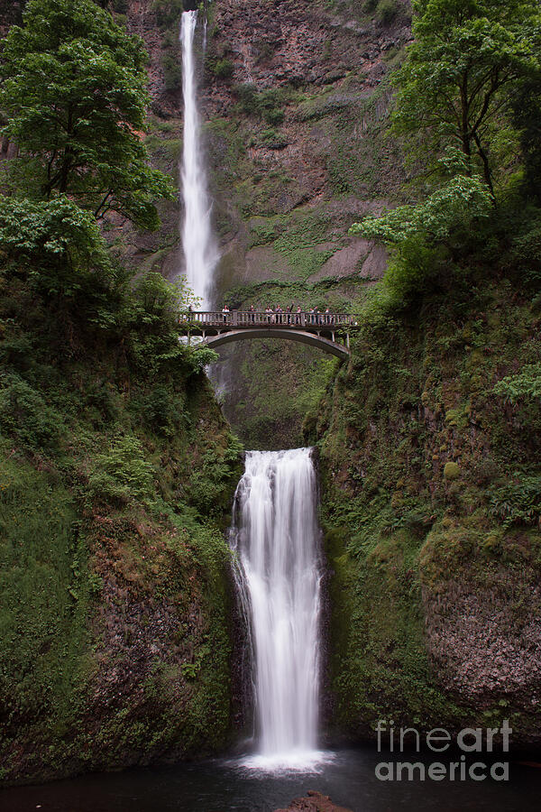 Multnomah Falls Photograph by Suzanne Luft