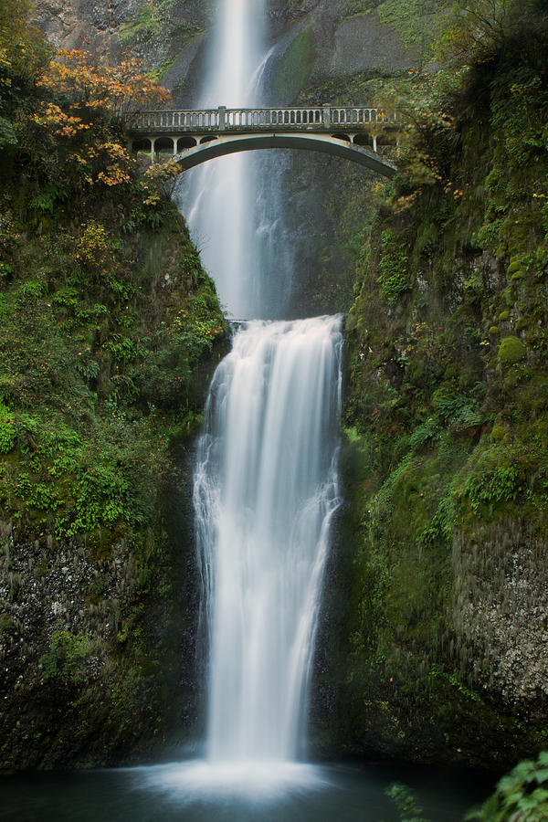 Multnomah Falls Photograph by Teresa Hunt - Fine Art America