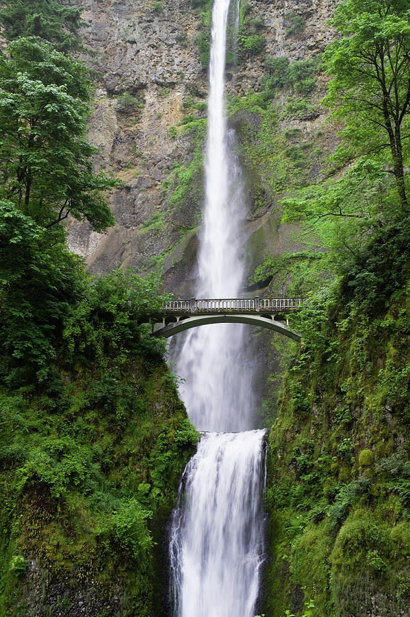 Multnomah Falls, The Third Tallest Year Photograph by Jonathan Kingston ...