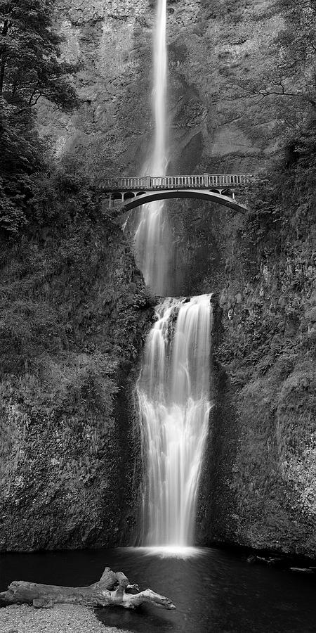 Multnomah Falls Photograph by Thomas J Rhodes - Fine Art America