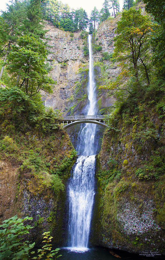 Multnomah Falls Photograph by Wayne Kuechler - Fine Art America