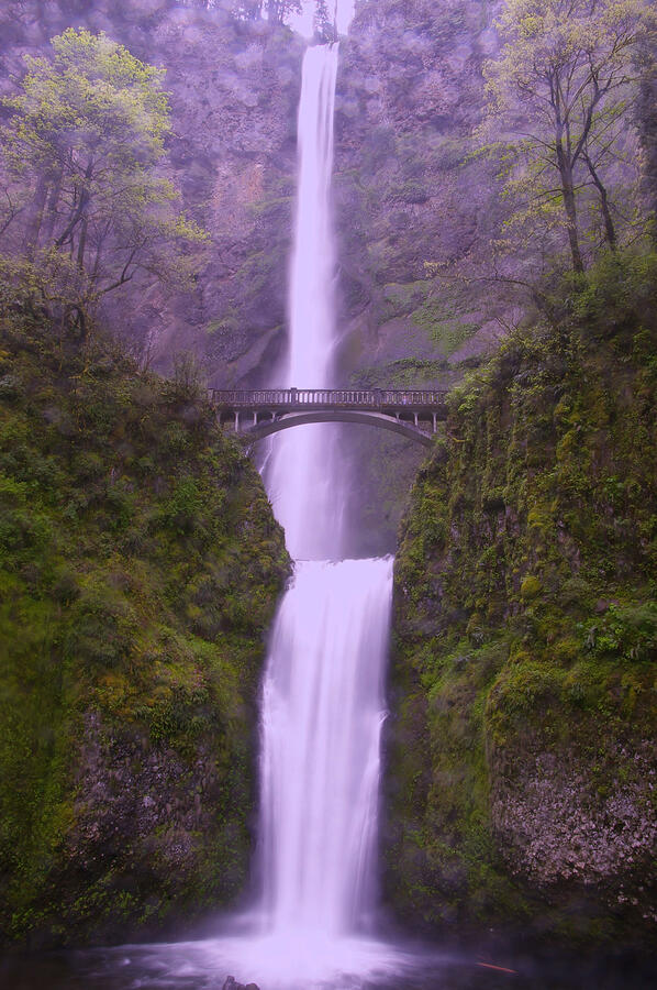 Waterfall Photograph - Multnomah In The Drizzling Rain by Jeff Swan