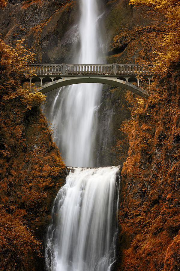 Waterfall Photograph - Multnomah Majestic by Alan Kepler