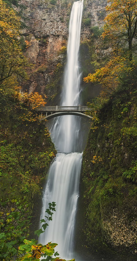 Fall Photograph - Multnomah Wearing Her Autum Colors by Loree Johnson