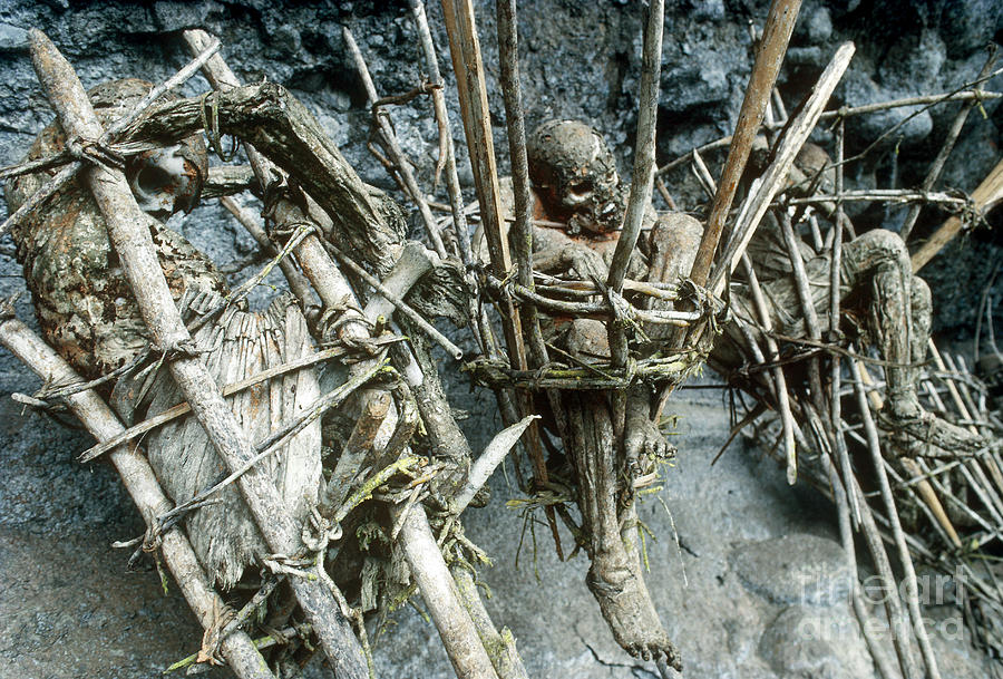 Mummified Bodies Photograph by Michael McCoy