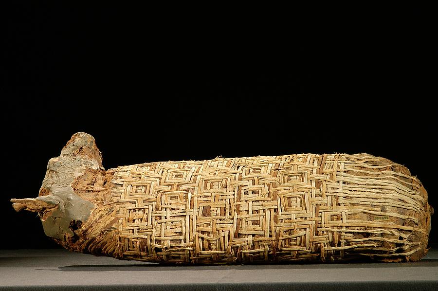 Mummified Dog From Ancient Egypt Photograph by Thierry Berrod, Mona Lisa Production/ Science Photo Library