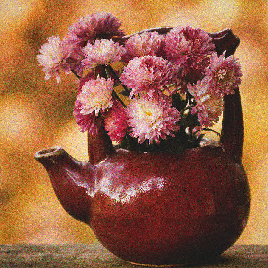 Mums in a Teapot Still Life Photograph by Peggy Collins