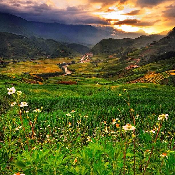 Muong Hoa Ho Valley. Sapa, Vietnam Photograph by Universal Traveller