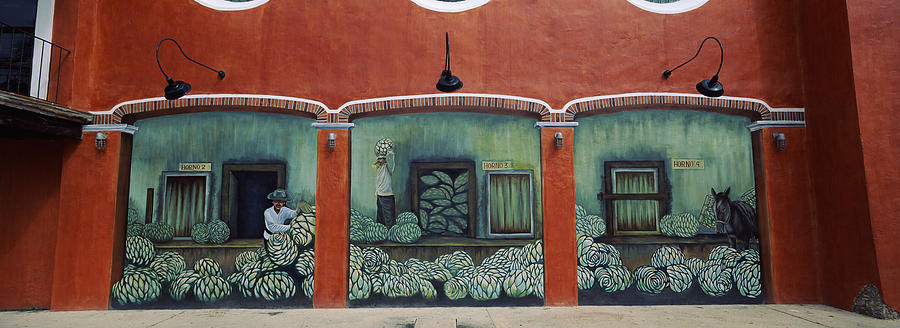 Artichoke Photograph - Mural On A Wall, Cancun, Yucatan, Mexico by Panoramic Images