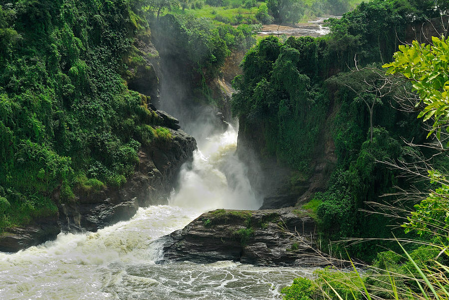 Jungle Photograph - Murchison Falls by Stefan Carpenter