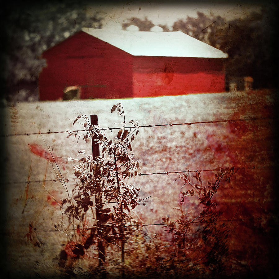 Murder in the Red Barn Photograph by Trish Mistric