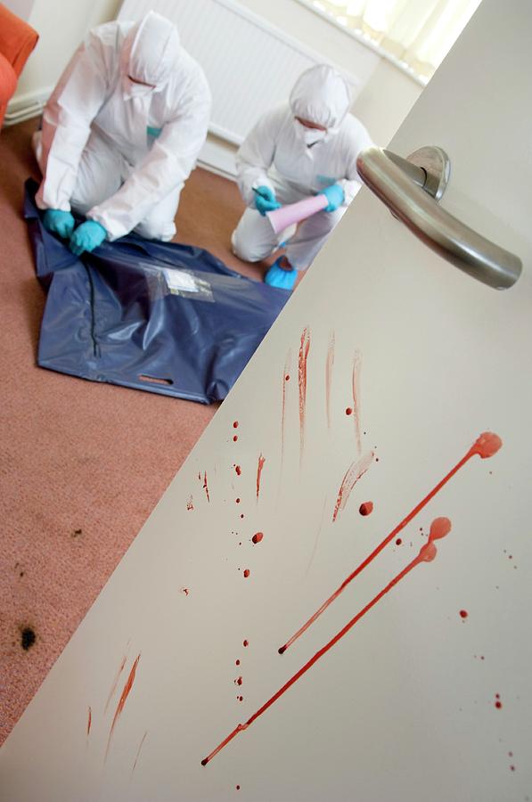 Murder Investigation Photograph by Jim Varney/science Photo Library