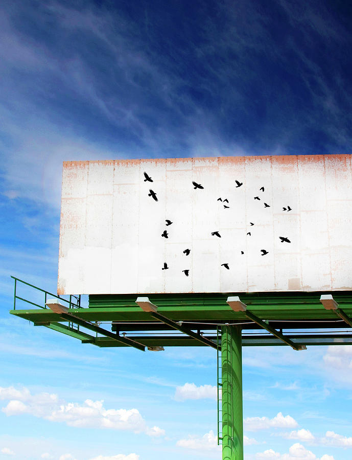 Murder Of Crows Flying On Billboard Photograph by Grant Faint