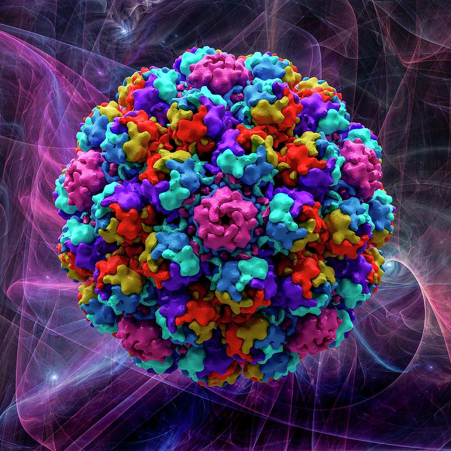 Murine Polyoma Virus Capsid by Laguna Design/science Photo Library